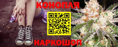 прущие грибы Дубна