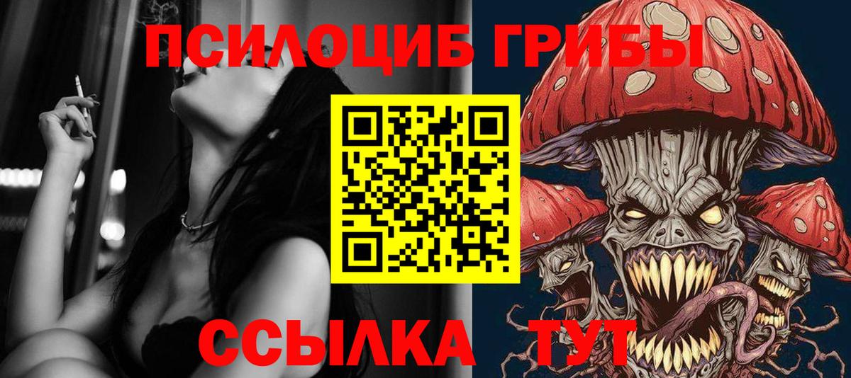 Можайск  Галлюциногенные грибы Psilocybe  Галлюциногенные грибы MAGIC MUSHROOMS  купить наркоту  Вход с VPN 